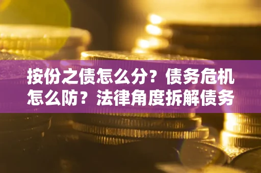 武汉按份之债怎么分？债务危机怎么防？法律角度拆解债务分配与风险自保指南