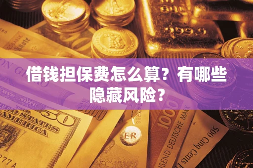 武汉借钱担保费怎么算？有哪些隐藏风险？