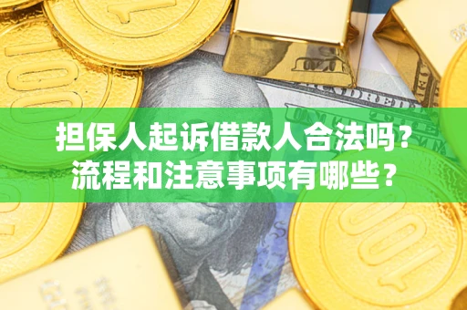 武汉担保人起诉借款人合法吗？流程和注意事项有哪些？