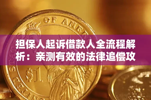 武汉担保人起诉借款人全流程解析：亲测有效的法律追偿攻略