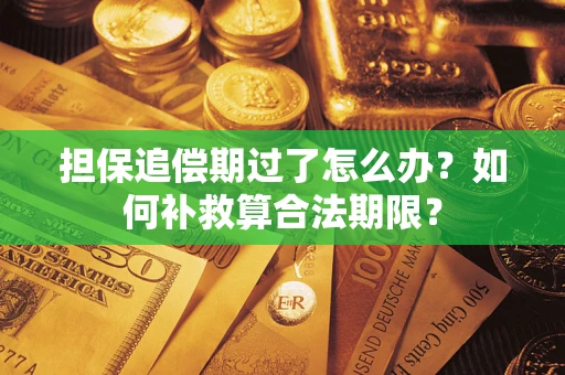 武汉担保追偿期过了怎么办？如何补救算合法期限？