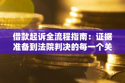 武汉借款起诉全流程指南：证据准备到法院判决的每一个关键步骤