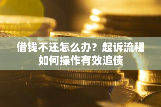 武汉借钱不还怎么办？起诉流程如何操作有效追债