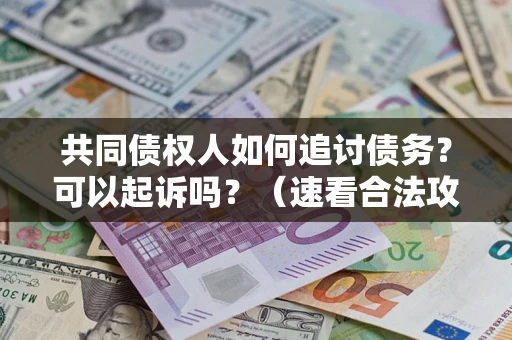 武汉共同债权人如何追讨债务？可以起诉吗？（速看合法攻略）