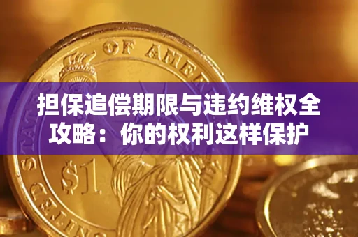 武汉担保追偿期限与违约维权全攻略：你的权利这样保护