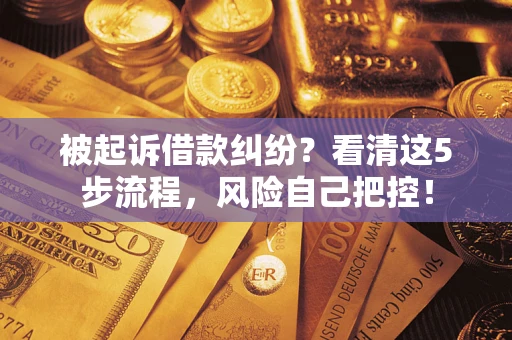 武汉被起诉借款纠纷？看清这5步流程，风险自己把控！