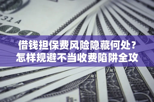 武汉借钱担保费风险隐藏何处？怎样规避不当收费陷阱全攻略！
