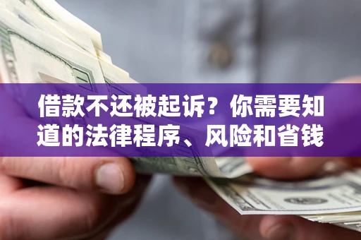 武汉借款不还被起诉？你需要知道的法律程序、风险和省钱技巧