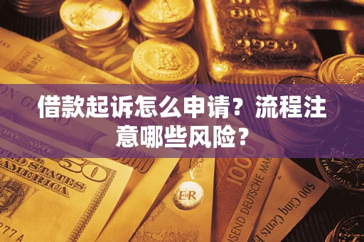 武汉借款起诉怎么申请？流程注意哪些风险？